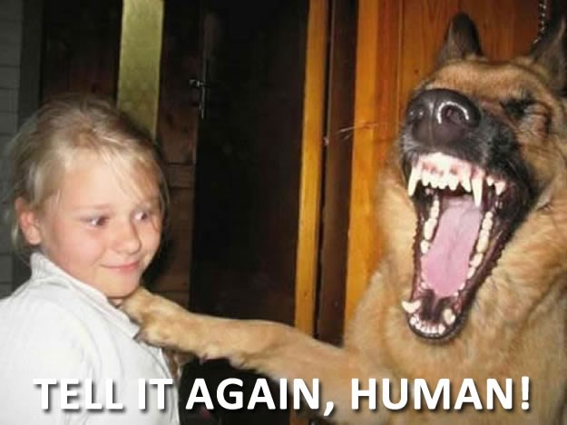 Zabavlja "ralje" dok je ne spase