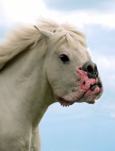 nekim putevima se jednostavno ne ide, nikad!