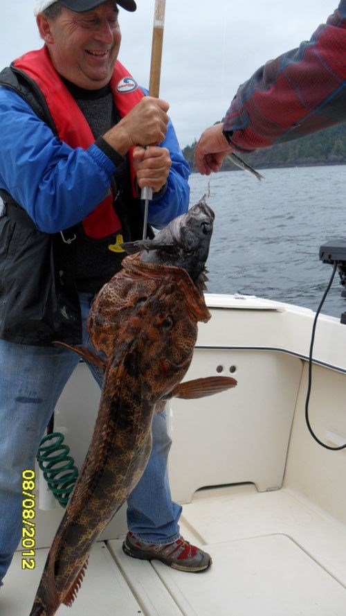 Pare stvaraju pare, a riba se na ribu lovi