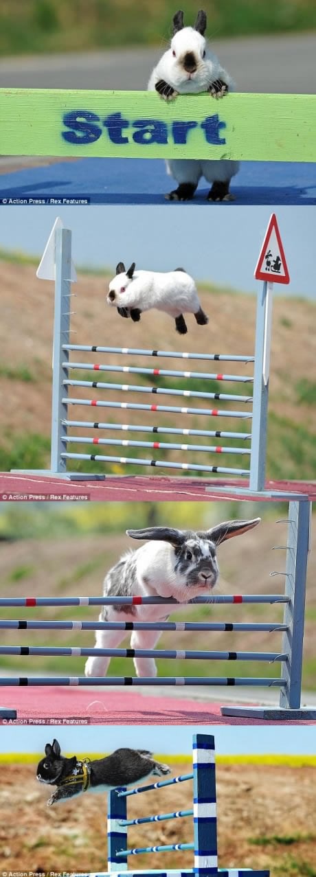 I ja zeku za trku imam!