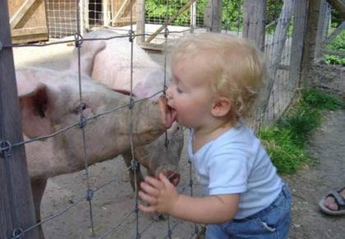 Daj da liznem da vidim jel mi ideš uz mladi krumpir