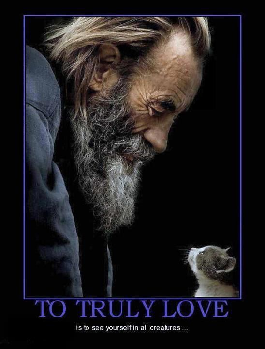 Stvarno voljeti je vidjeti sebe u svim živim bićima