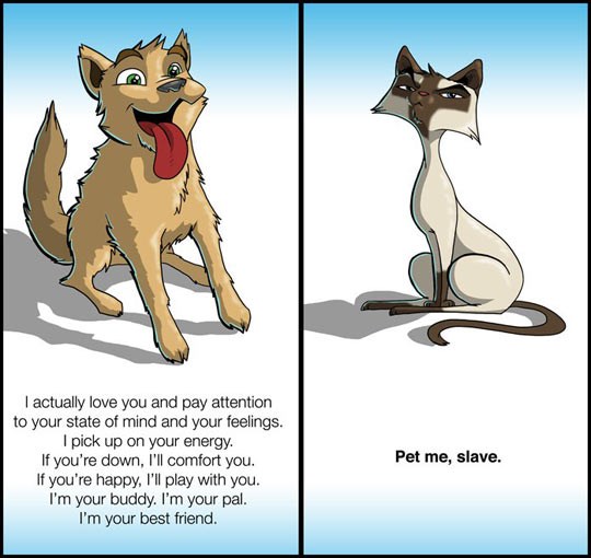 Kako ljubimci vide ljude