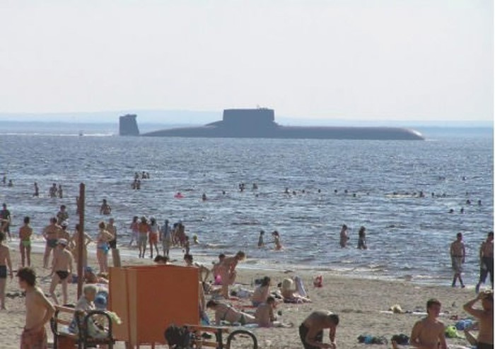 Rusi nemaju problema s morskim psima