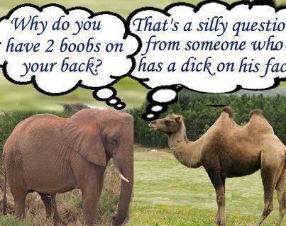 Ne petljaj se s devom, jaka je na jeziku