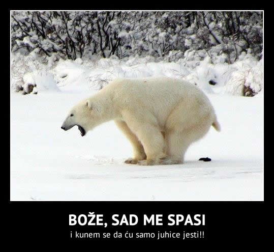 Svi znamo ono jutro nakon kebaba s čilijem:D
