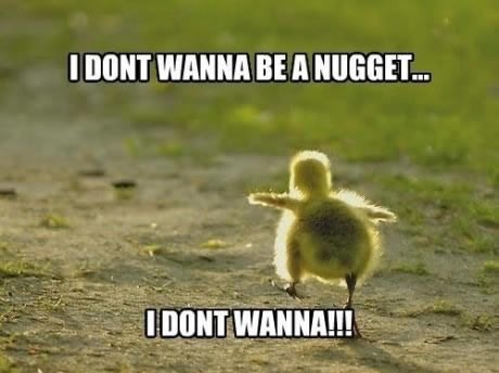 pile ne želi u mcdonald's... ko da je nugget od pileta