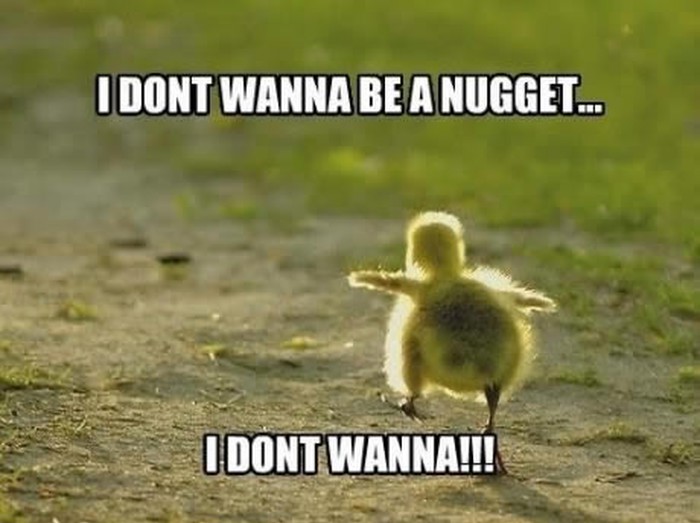 pile ne želi u mcdonald's... ko da je nugget od pileta