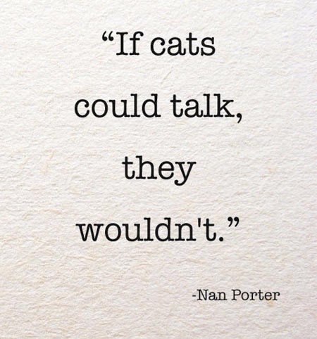 Podle mačketine uvijek kontra