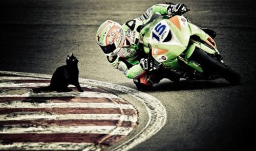 Čekaj... da... završim... utrku... dobiješ... jest...