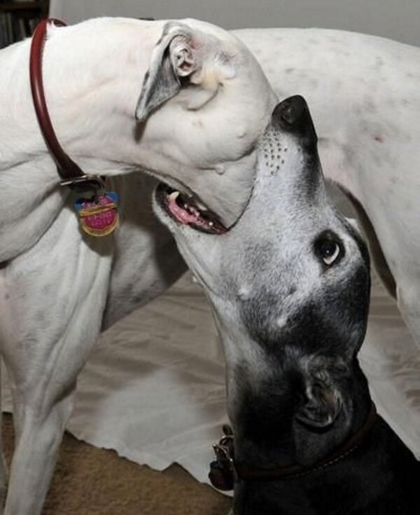 Jebeeemti, šta si jela!?