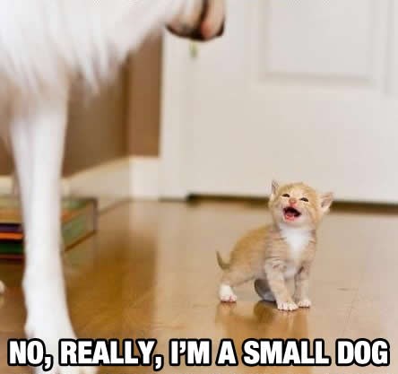 mica pregovara oko slobodnog prolaza kućom