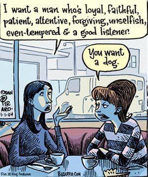 Dođe doba u životu svake žene kad joj bolje paše pas