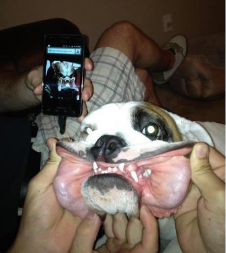 Otkrivena tajna dizajniranja Predatora