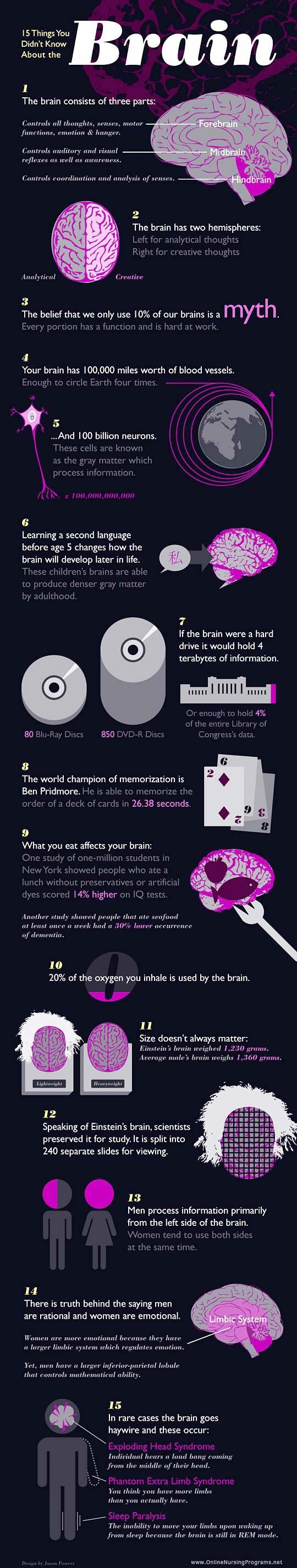 Čudesa ljudskog mozga - kako radi i što želi