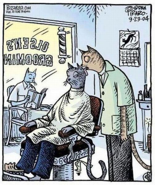 Macolizački frizeraj