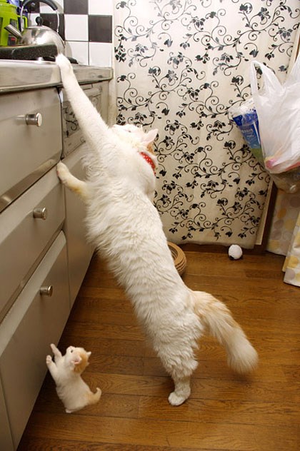 Mama je uvijek tu da pomogne:)