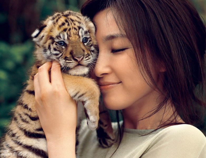 Svi su oni slatkiši kad su bebe