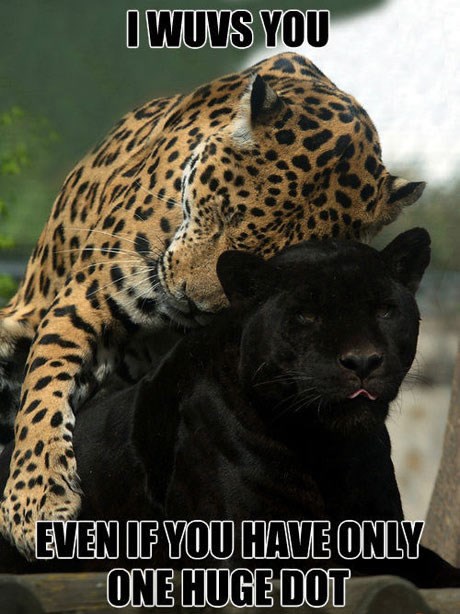 Once you go black, you never go back