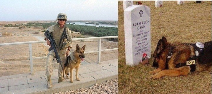 Oni nikad ne zaboravljaju ratnog druga