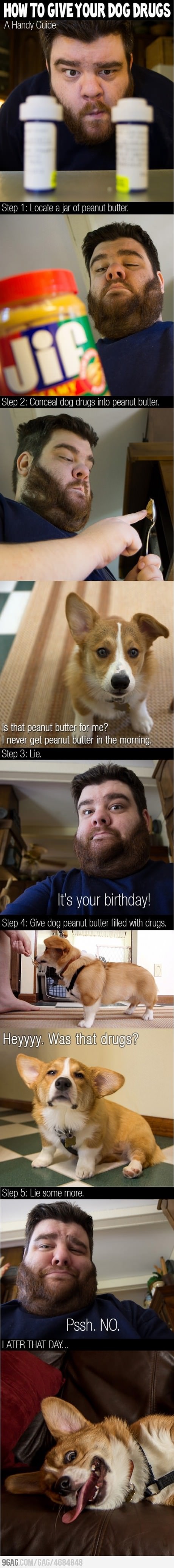 Kak pesu podvalit drogu:D