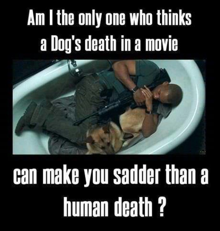 Kome je još tužnije kad u filmu umre pas?