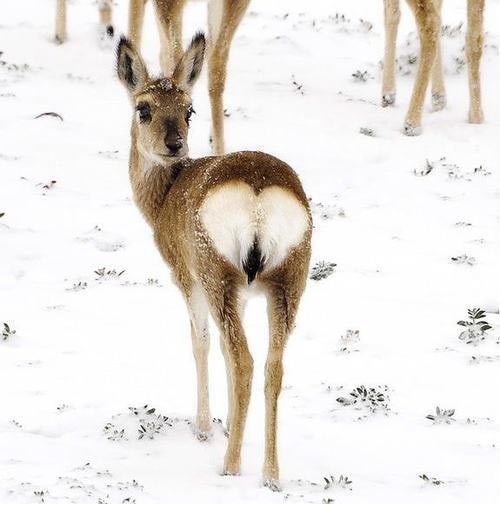 Ljubav nađeš na neobičnim mjestima