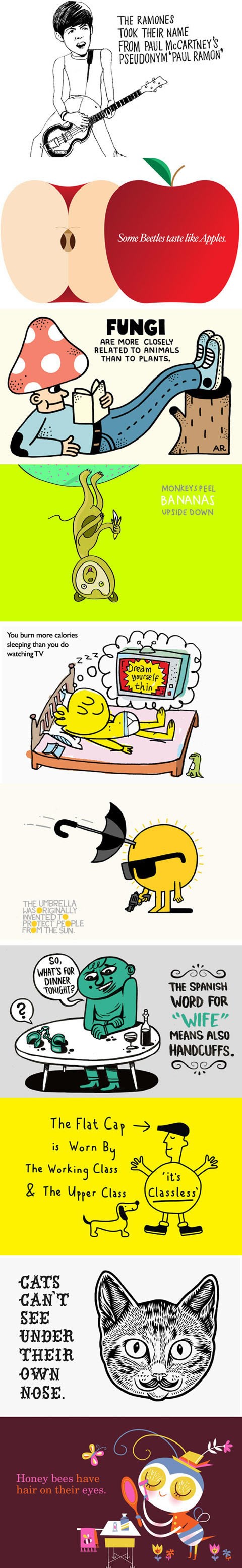 Na španjolskom "žena" znači i "lisice" :D