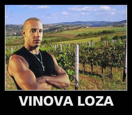 Vinu Dieselu dojadio Hollywood, seli u Zagorje