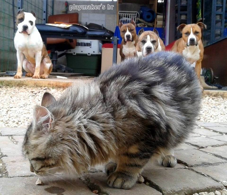 Ono-kad' imaš osjećaj da te netko promatra