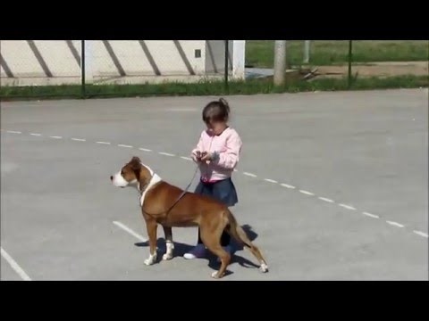 Ona ima 4 godine i psi su joj najdraže "igračke"