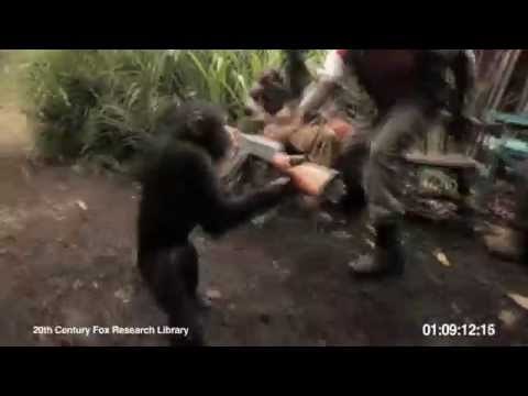 Monkey with AK47 "Thug life"