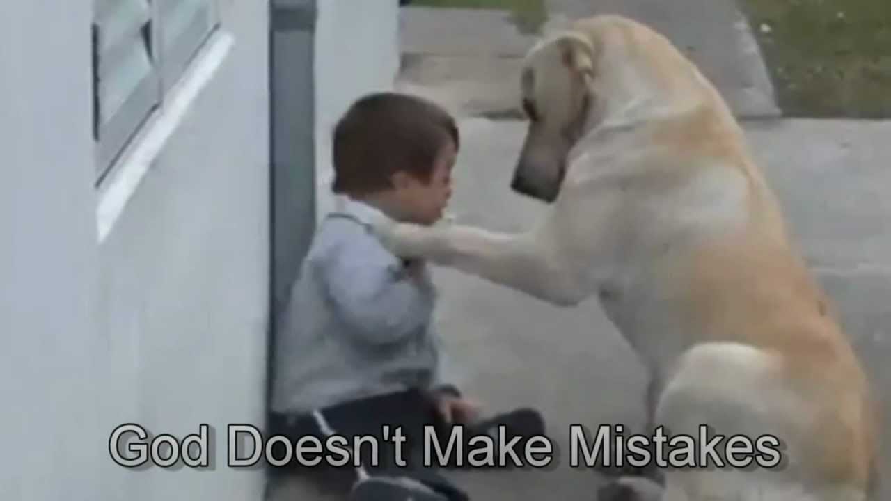 Sweet Mama Dog Interacting with a Beautiful Child with Down Syndrome. From Jim Stenson.