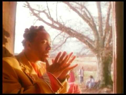 Arrested Development - Mr. Wendal