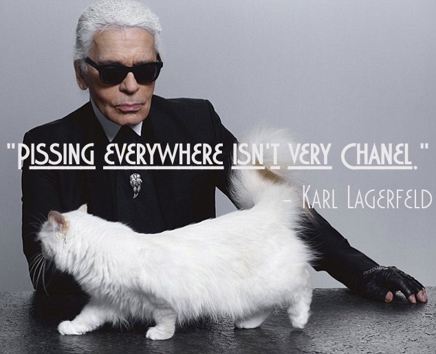 Za sve mlade starlete