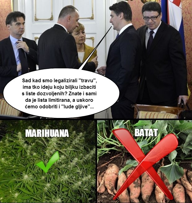 Vladine eko muke - evo zašto zabrana batata