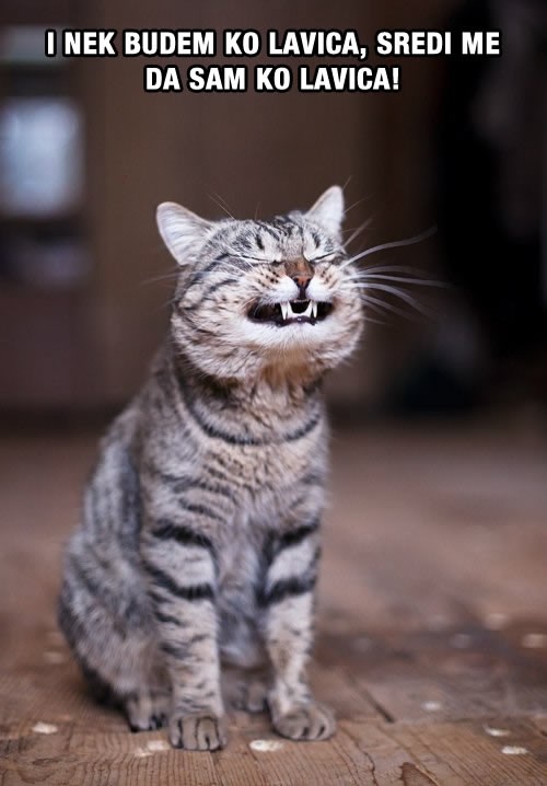 Vidjela gazdaricu da se fotošopirala..