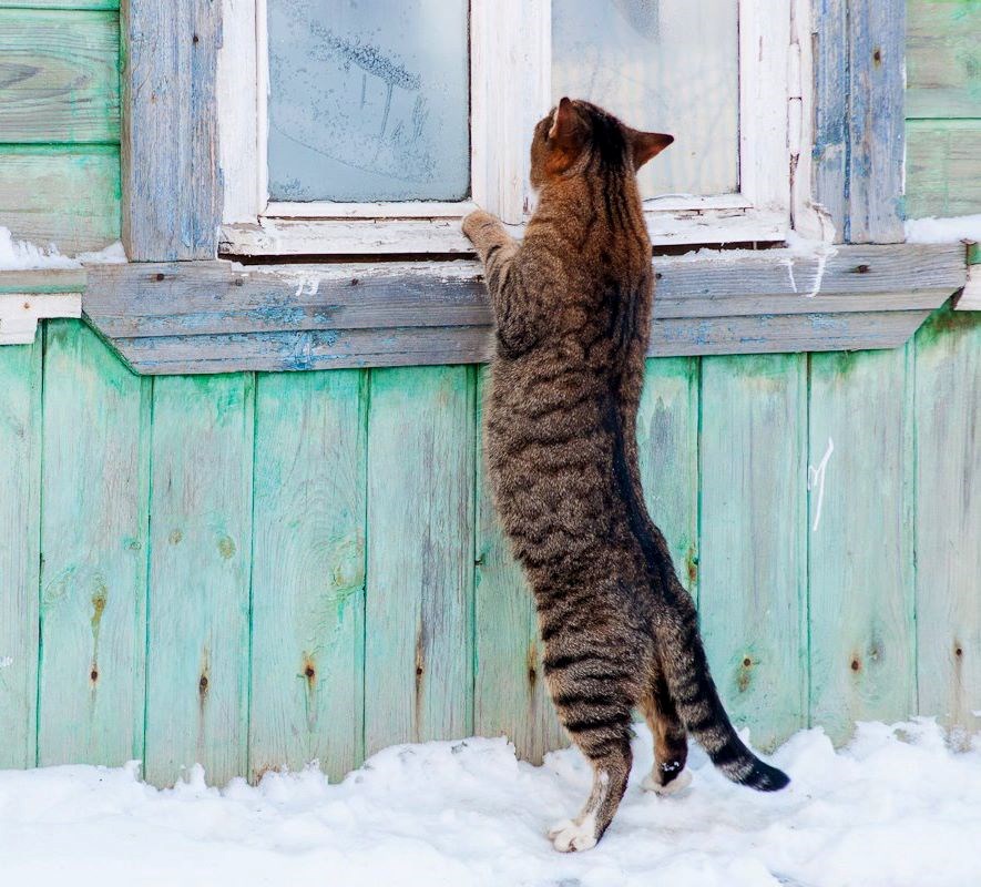 603124_413261778749795_196425666_n (1).jpg