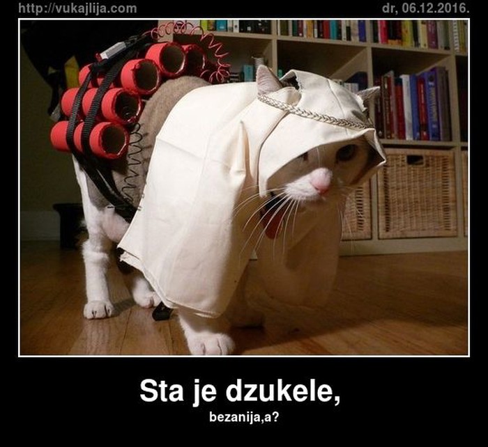 sta-je-dzukele.jpg