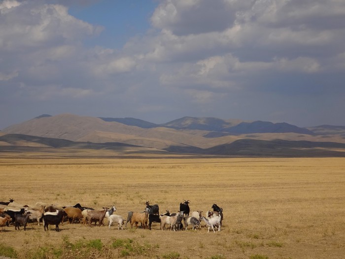 Azerbajdžan