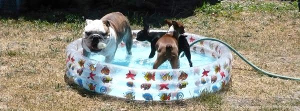 Frendovi i ja na zadnjem pool partyju