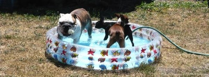 Frendovi i ja na zadnjem pool partyju