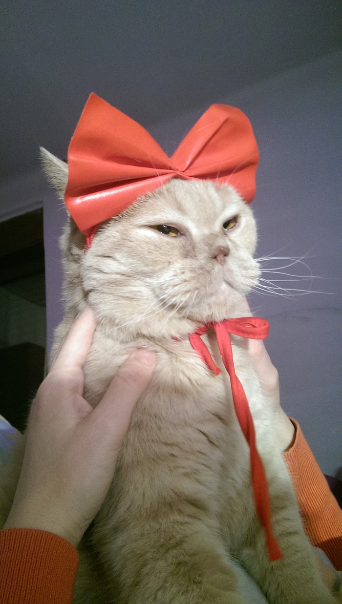 IMAG0317.jpg
