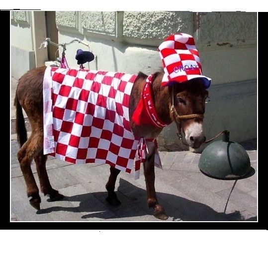 Hrvatski IQ prikazan maskotom