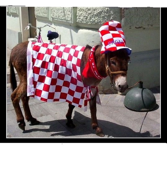 Hrvatski IQ prikazan maskotom