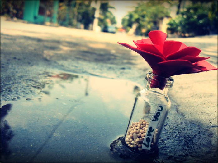 <3! xoxo
