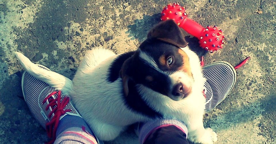 Fleki šarmira pogledom