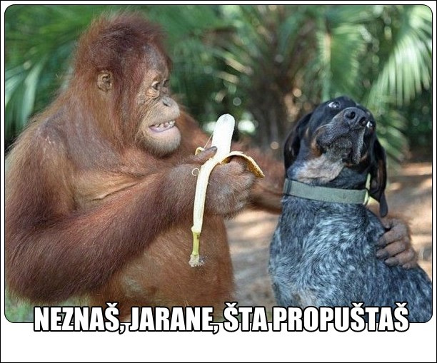 Dva jarana i jedna banana