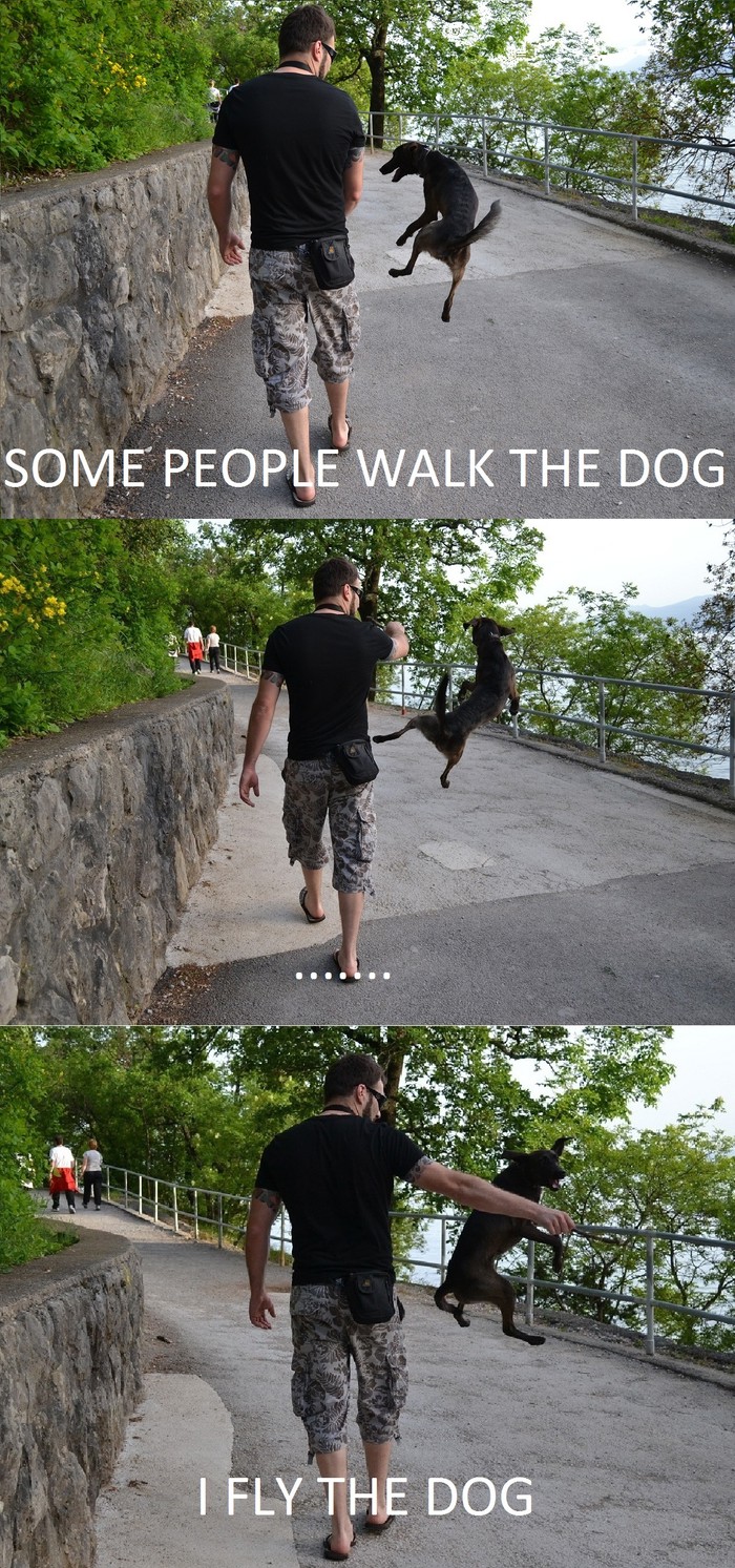 I fly the dog