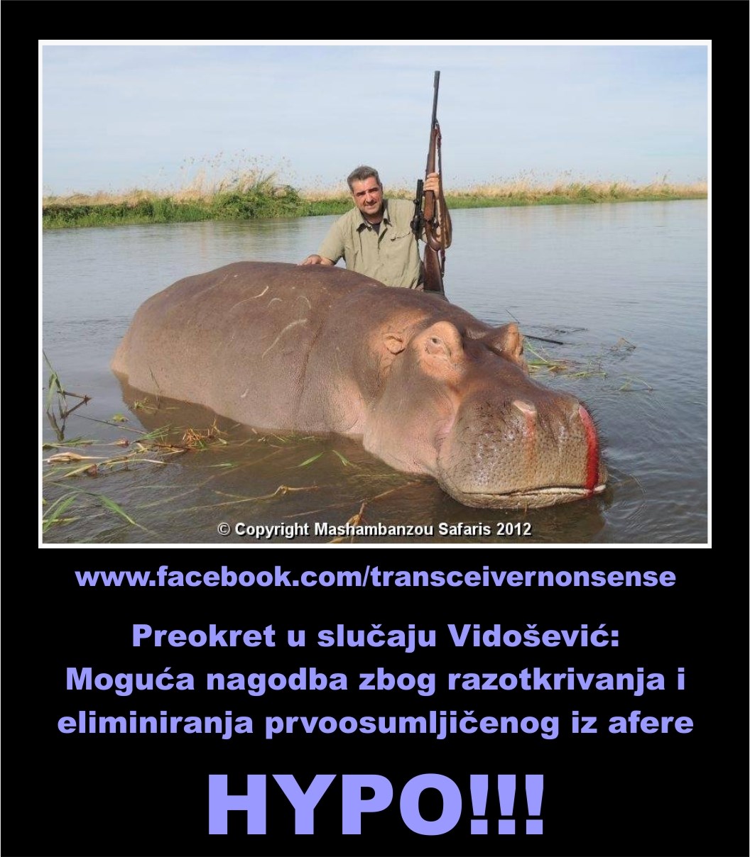 PREOKRET U SLUČAJU VIDOŠEVIĆ